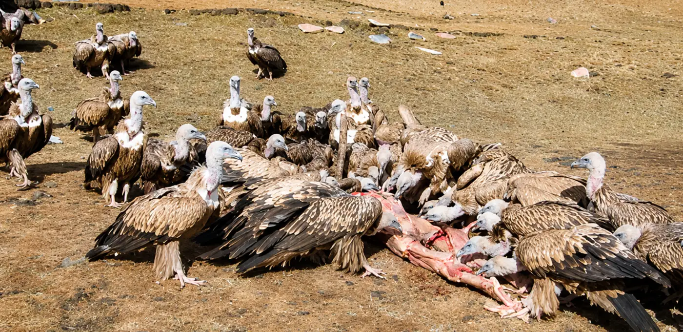Sky Burial Ritual
